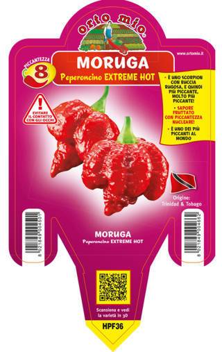 Peperoncino Moruga Scorpion rosso - Giardango