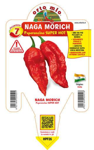 Peperoncino Naga Morich rosso