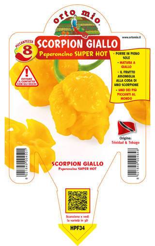 Peperoncino Scorpion giallo