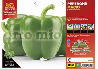 Peperone Quadrato Verde Macio Vaschetta 6 Piantine - Giardango