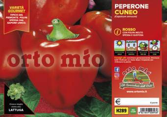 Peperone Rosso di Cuneo Vaschetta 6 Piantine - Giardango