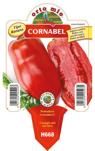Pomodoro Allungato Corno Delle Ande Cornabel Vaso 10 Cm - Giardango