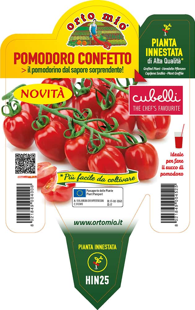 Pomodoro Cubelli var.Confetto (ex Fragolino) Piante Innestate Vaso 14 Cm